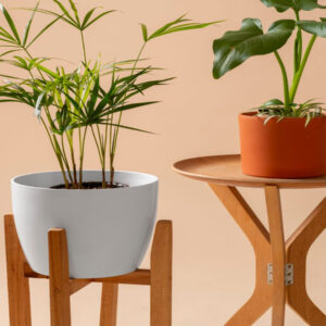 Tall wood plant shelf
